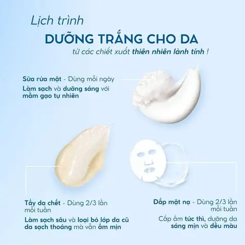 Mặt Nạ Dưỡng Da Ban Đêm Từ Thiên Nhiên