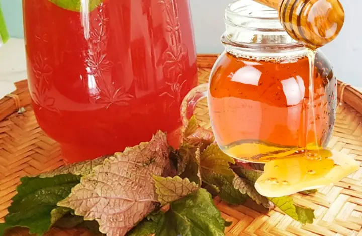 Mặt Nạ Tía Tô Mật Ong