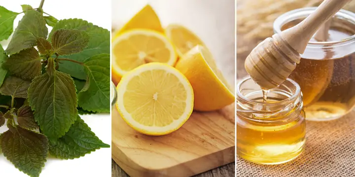 Mặt Nạ Tía Tô Mật Ong