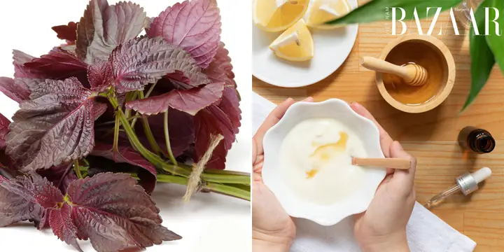 Mặt Nạ Tía Tô Mật Ong