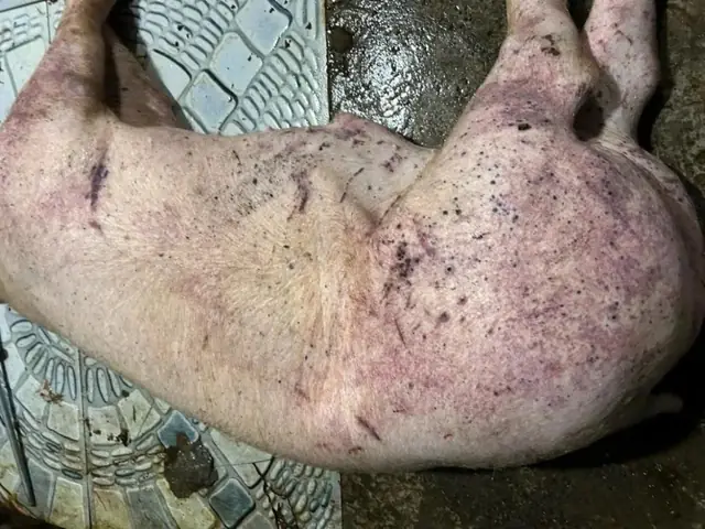 Mặt Nạ Tiểu Mơ Hồ Có Tốt Không