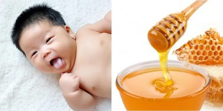 Mật Ong Có Tác Dụng Gì Cho Trẻ Sơ Sinh