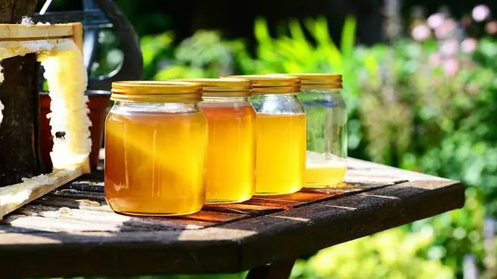 Mật Ong Hết Hạn Sử Dụng
