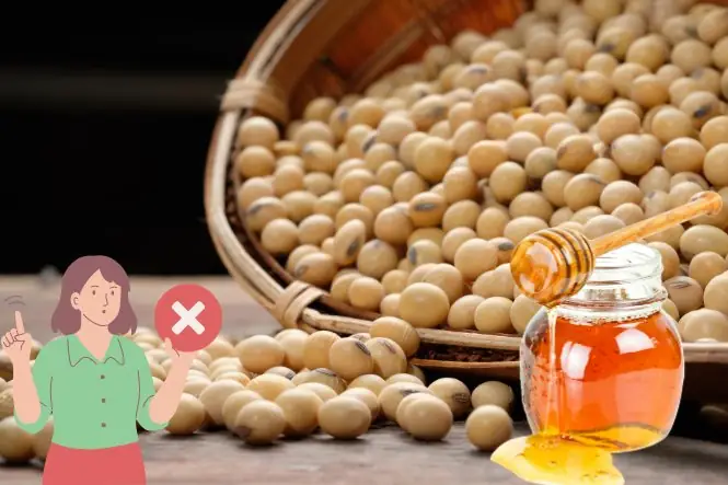 Mật Ong Kỵ Với Những Gì Mật Ong Kỵ Với Những Gì
