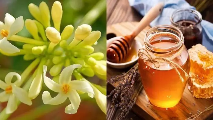 Mật Ong Lâu Năm Có Tác Dụng Gì