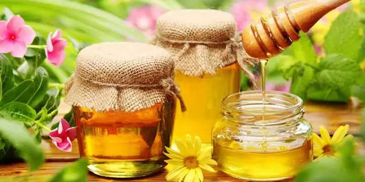 Mật Ong Rừng Hay Mật Ong Nuôi Tốt Hơn