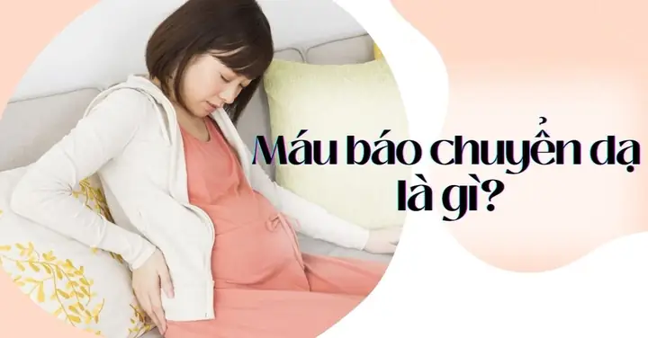 Máu Báo Chuyển Dạ Ra Nhiều Hay Ít