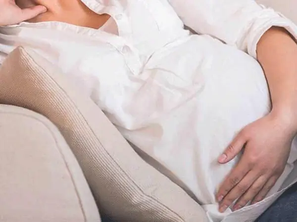 Máu Báo Sinh Ra Nhiều Hay Ít