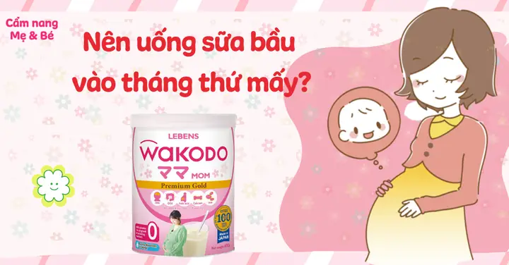Mấy Tháng Thì Uống Sữa Bầu