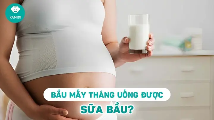 Mấy Tháng Thì Uống Sữa Bầu Mấy Tháng Thì Uống Sữa Bầu