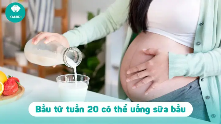 Mấy Tháng Thì Uống Sữa Bầu Mấy Tháng Thì Uống Sữa Bầu