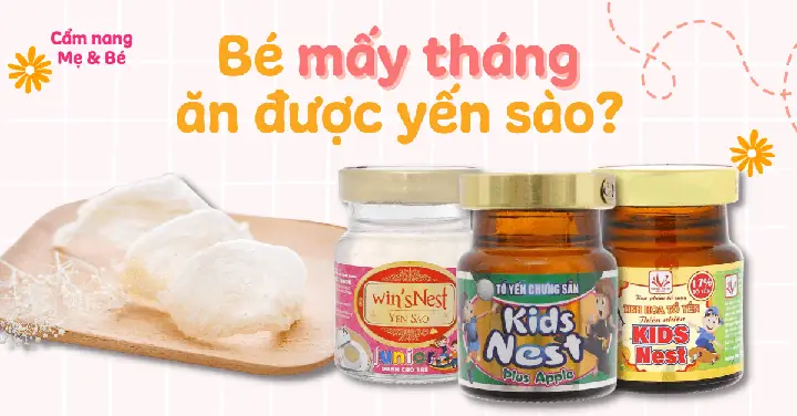 Mấy Tuổi Ăn Được Yến Sào Mấy Tuổi Ăn Được Yến Sào