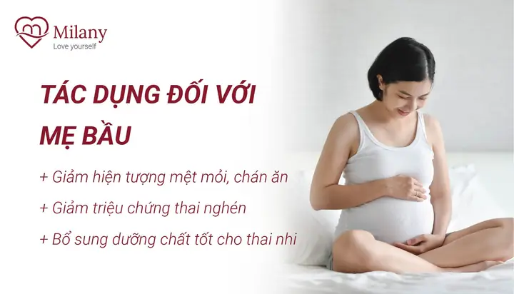 Mẹ Bầu Ăn Yến Sào Tốt Không