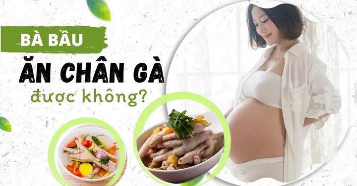 Mẹ Bầu Có Nên Ăn Chân Gà Không