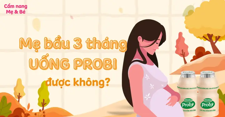 Mẹ Bầu Uống Probi Được Không