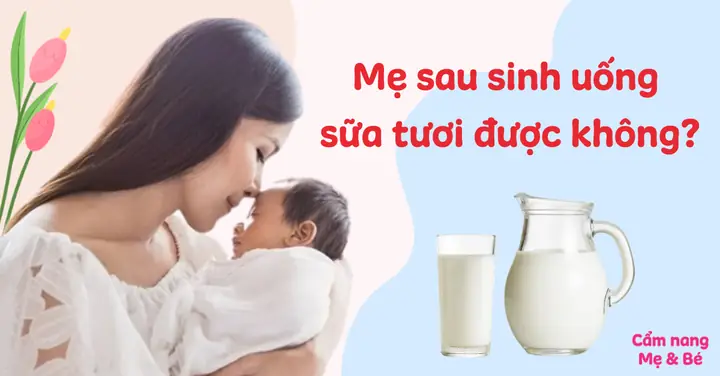 Mẹ Mới Sinh Có Uống Được Sữa Tươi Mẹ Mới Sinh Có Uống Được Sữa Tươi