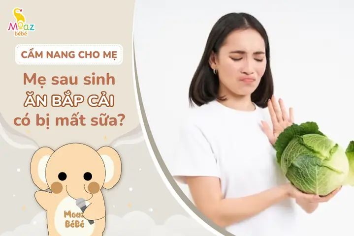 Mẹ Sau Sinh Ăn Bắp Cải Được Không Mẹ Sau Sinh Ăn Bắp Cải Được Không