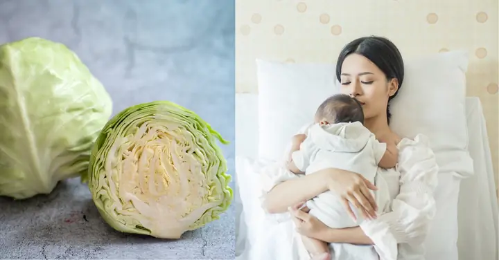 Mẹ Sau Sinh Ăn Bắp Cải Được Không