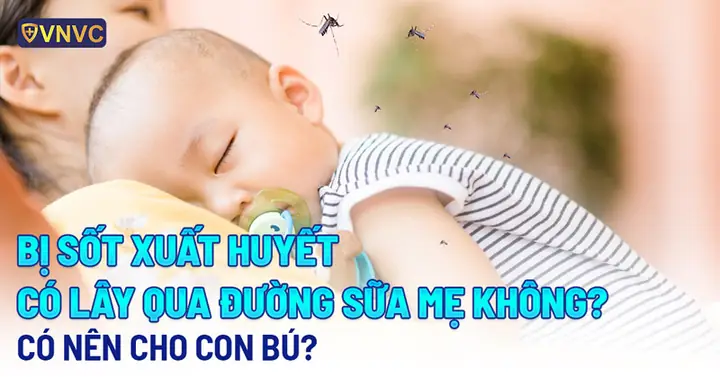 Mẹ Sốt Có Nên Cho Con Bú Mẹ Sốt Có Nên Cho Con Bú