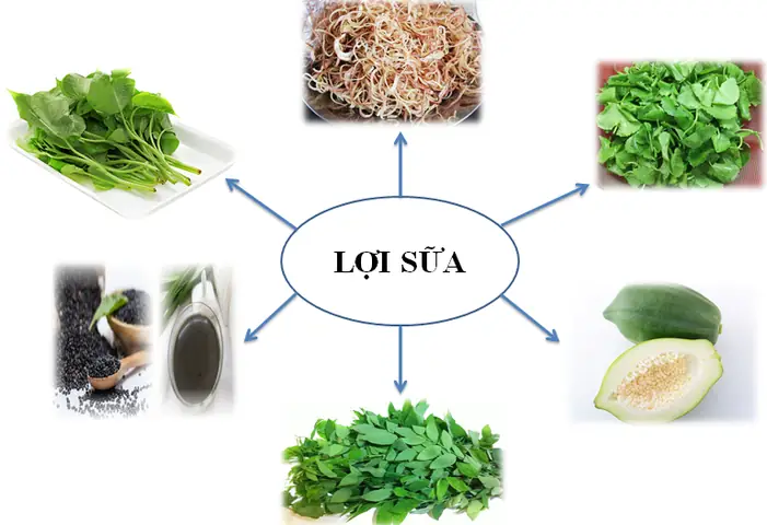 Mẹ Uống Sữa Gì Để Nhiều Sữa Cho Con Bú