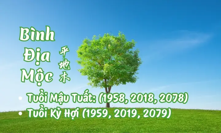 Mệnh Bình Địa Mộc Đặt Tên Gì