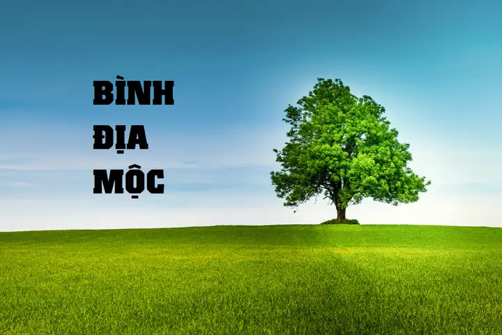 Mệnh Bình Địa Mộc Đặt Tên Gì Mệnh Bình Địa Mộc Đặt Tên Gì