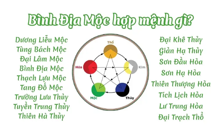 Mệnh Bình Địa Mộc Đặt Tên Gì Mệnh Bình Địa Mộc Đặt Tên Gì