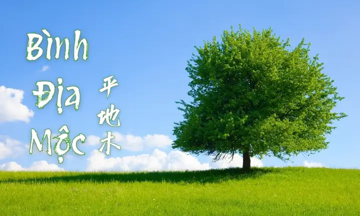 Mệnh Bình Địa Mộc Đặt Tên Gì Mệnh Bình Địa Mộc Đặt Tên Gì