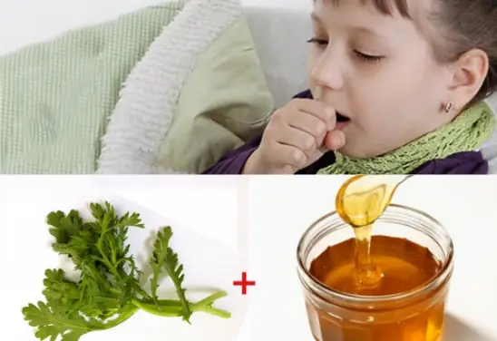 Mẹo Trị Ho Cho Trẻ Nhỏ
