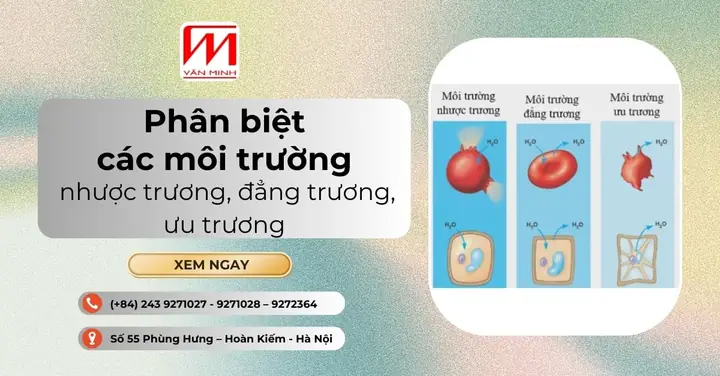 Môi Trường Ưu Trương Nhược Trương Đẳng Trương