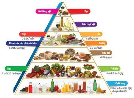 Món Ăn Dinh Dưỡng Cho Bé 2 Tuổi