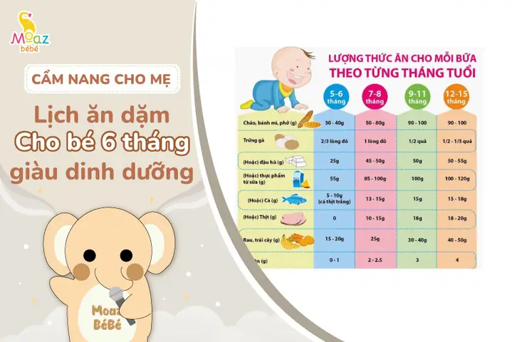 Món Ngon Cho Trẻ 6 Tháng Tuổi