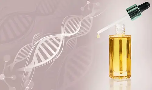 Mua Dược Mỹ Phẩm Ở Đâu Mua Dược Mỹ Phẩm Ở Đâu