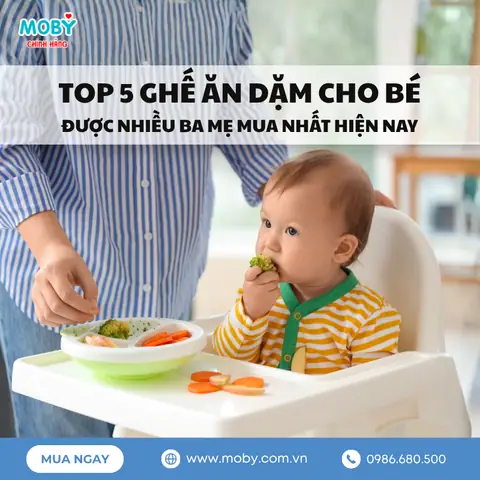 Mua Ghế Ăn Dặm Cho Bé
