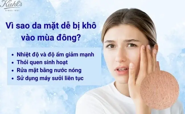 Mùa Hanh Khô Nên Đắp Mặt Nạ Gì