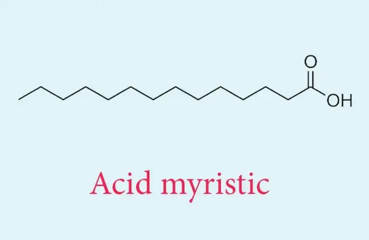 Myristic Acid Có Tác Dụng Gì
