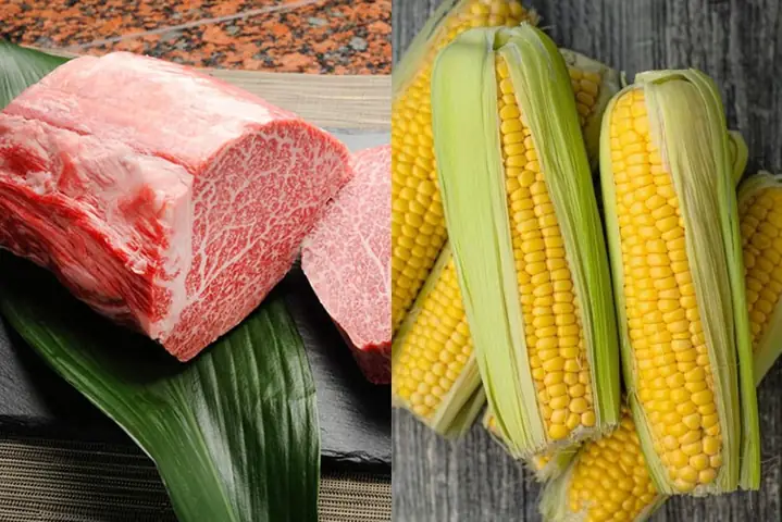 Nấu Cháo Ngô Ngọt Cho Bé Ăn Dặm