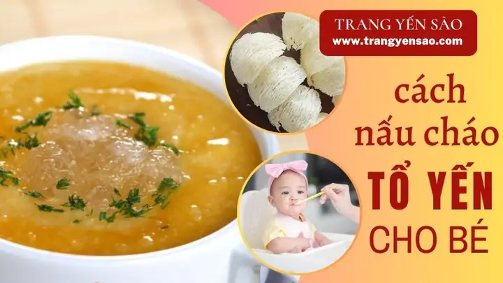 Nấu Cháo Tổ Yến Cho Bé