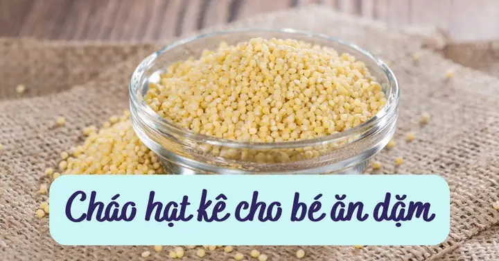 Nấu Cháo Với Các Loại Hạt Cho Bé Nấu Cháo Với Các Loại Hạt Cho Bé