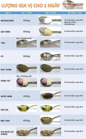 Nêm Gia Vị Cho Trẻ Ăn Dặm