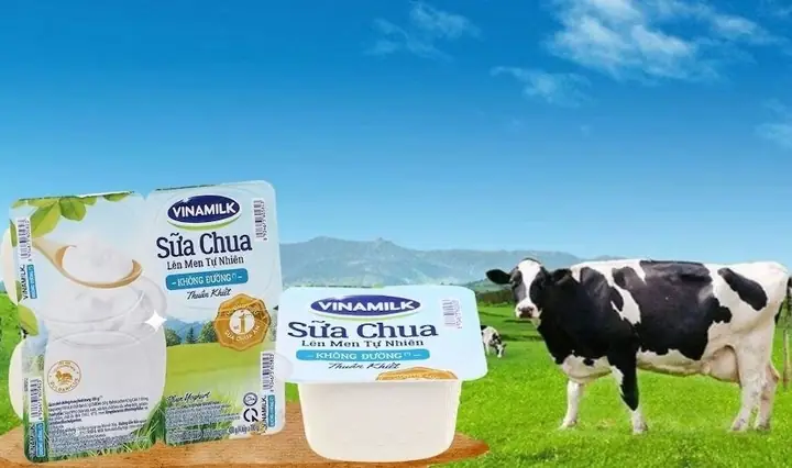 Nên Ăn Mấy Hộp Sữa Chua 1 Ngày