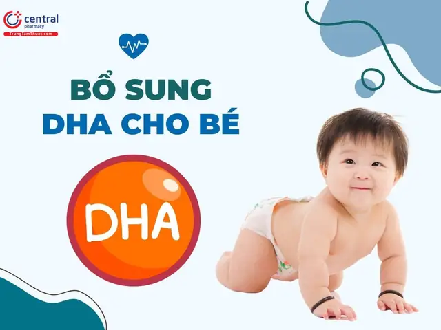 Nên Bổ Sung Dha Khi Nào