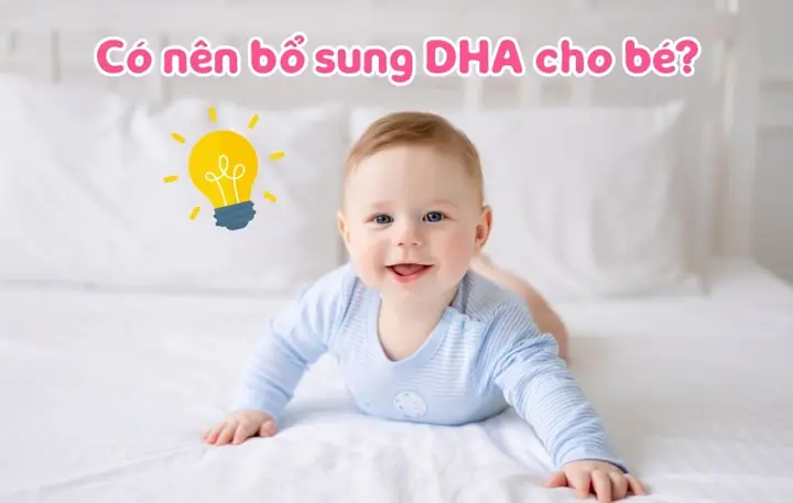 Nên Bổ Sung Dha Khi Nào