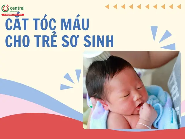 Nên Cắt Tóc Cho Bé Ngày Nào Nên Cắt Tóc Cho Bé Ngày Nào