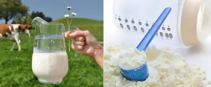 Nên Cho Bé Uống Sữa Tươi Hay Sữa Công Thức