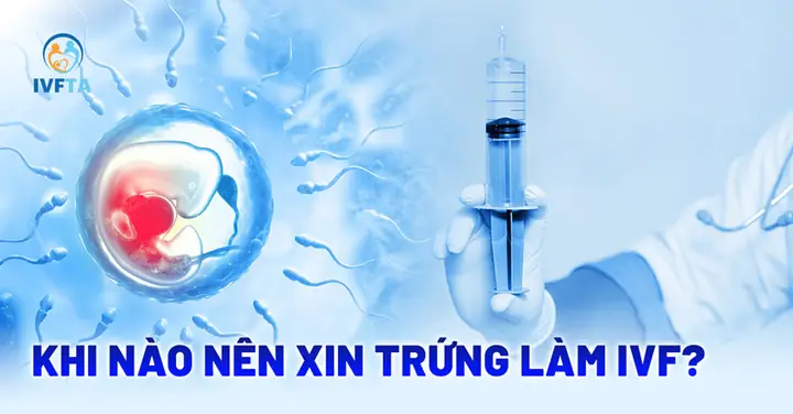 Nên Làm Thụ Tinh Ống Nghiệm Ở Bệnh Viện Nào