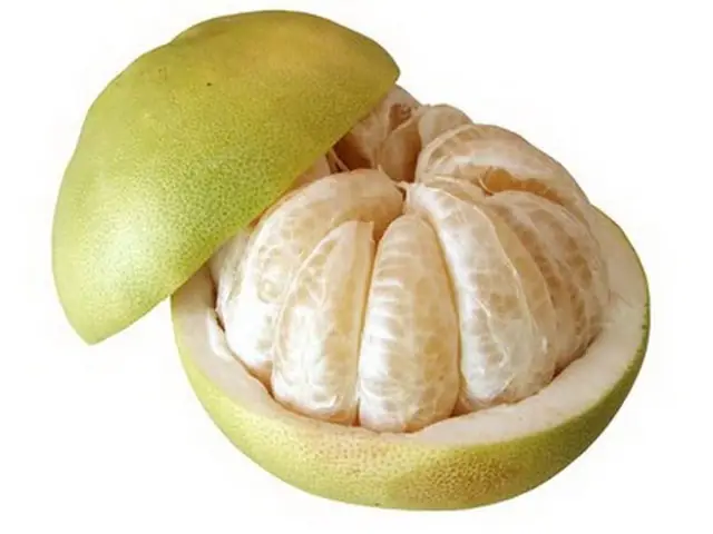 Nên Uống Nước Ép Gì Mỗi Ngày
