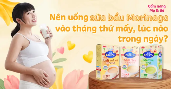 Nên Uống Sữa Bầu Ở Tháng Thứ Mấy Nên Uống Sữa Bầu Ở Tháng Thứ Mấy