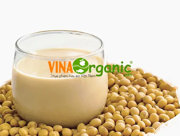 Nên Uống Sữa Vào Thời Điểm Nào Trong Ngày