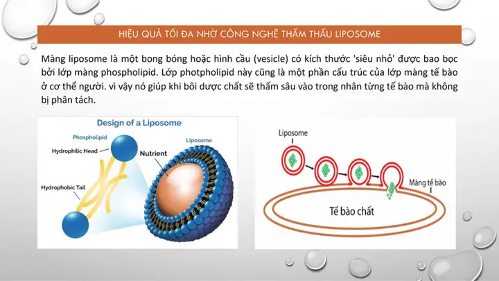 Nghệ Có Trị Nám Được Không